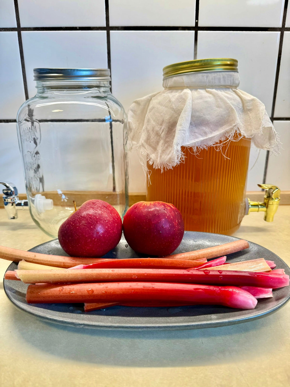 Kombucha – basisopskrift (F1)