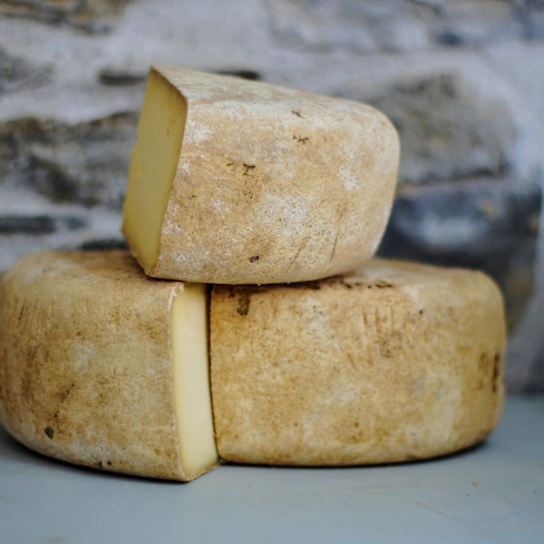 Fermentation & dairy