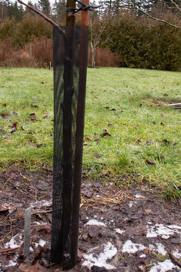 STAMME / HARE-VILDTBESKYTTER, PVC, HØJDE 55 CM, DIAMETER 2-6 CM, 1 STK