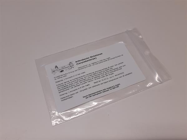 Arthrobacter Nicotianae (Corynebacteriae), 1 gr