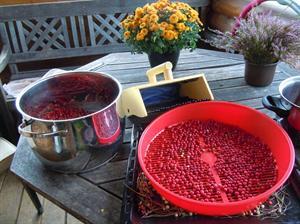 Berry cleaning sieve, large, red