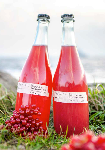 Cider og frugtvin (dänischsprachiges Buch) – Mikrobrauen und Rezepte für den Hausgebrauch (André Spange Nabulsi)