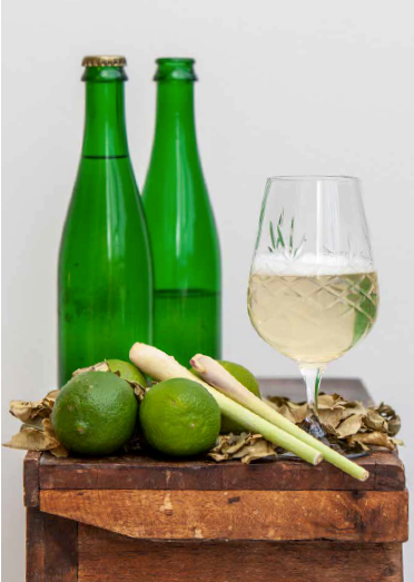 Cider og frugtvin (dänischsprachiges Buch) – Mikrobrauen und Rezepte für den Hausgebrauch (André Spange Nabulsi)