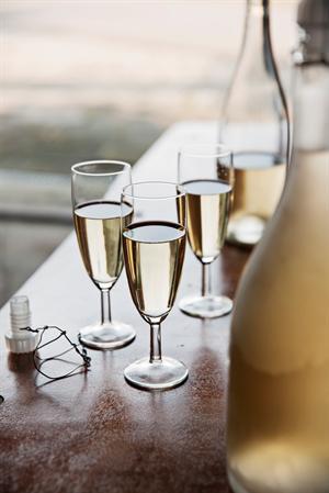 Most & cider (dansk bok) – eplemost og sider av frukt fra hagen (Per Dollerup og Flemming Iversen)