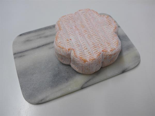 Arthrobacter Nicotianae (Corynebacteriae), 1 gr