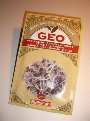 Red radish sprouts, seeds