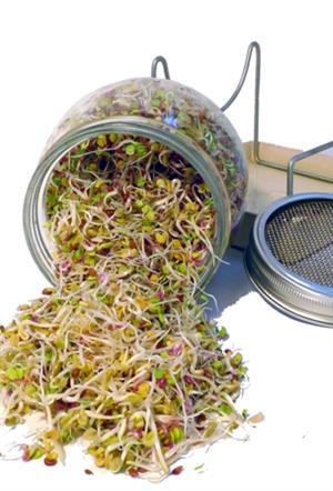 Sprouting jar with ceramic bowl, stainless steel stand and lid with mesh, 1 pc