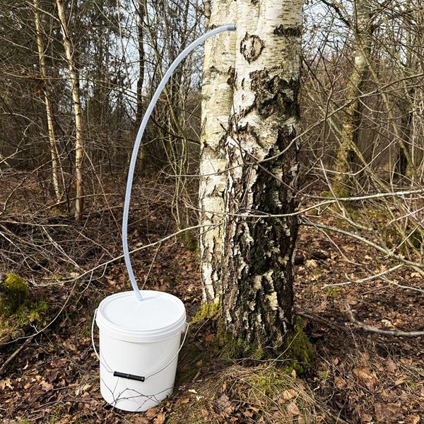 Laske omaa koivunmahlaa / sarja koivunmahlan laskuun, 5 kpl 1 litran kanistereita