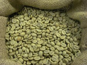 to Skygge komme Columbia Excelso, Grønne Kaffebønner, 1000 gram