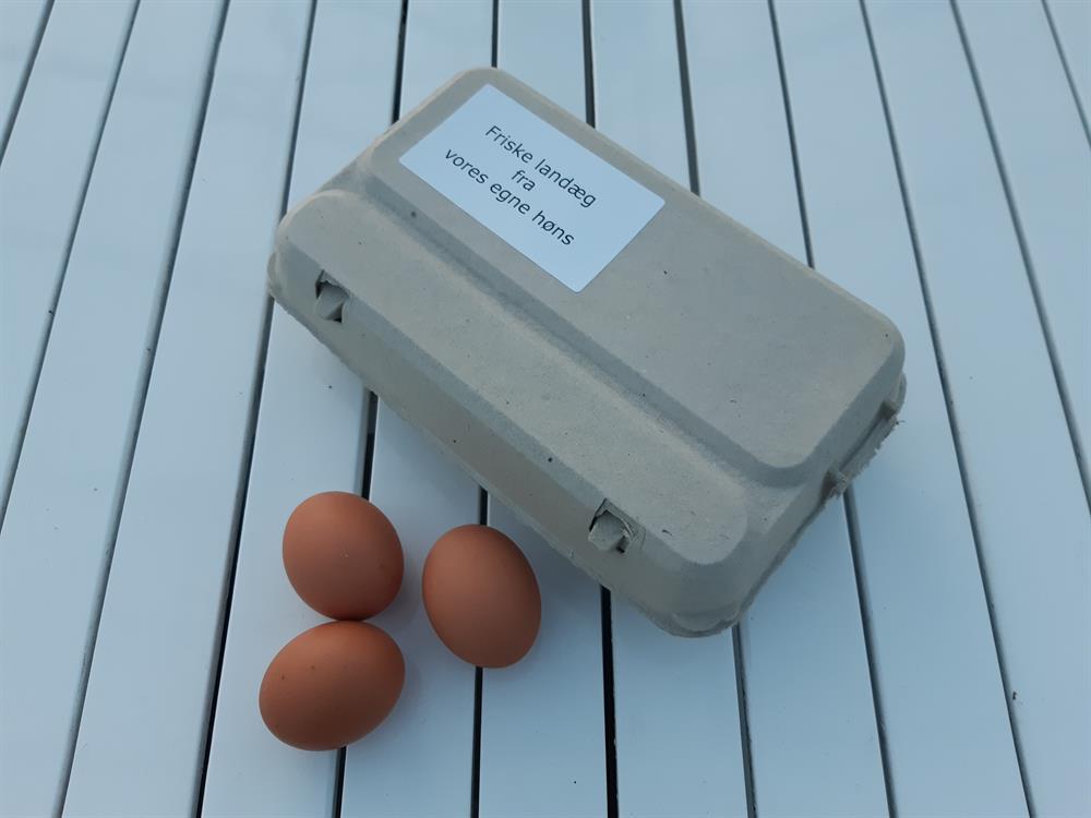 Etiketter til æggebakker, design og print din etiket, hvide. 10 ark med 10 etiketter hver